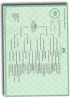 Weimaraner-Pedigree-Certificate