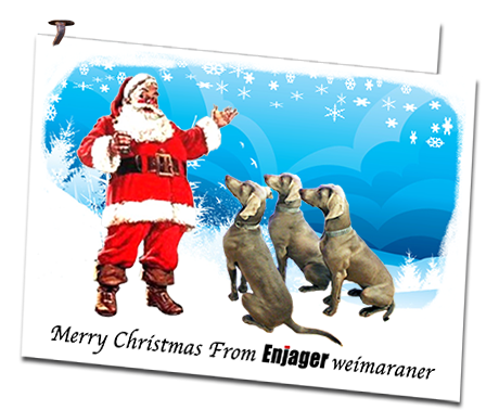 Enjager-Weimaraner-Christmas-Card