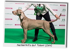 Netherhill's-Got-Talent
