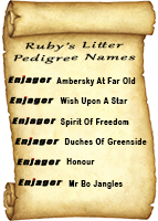 Enjager-Pedigree-Names