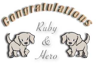 Congratulations Ruby & Hero