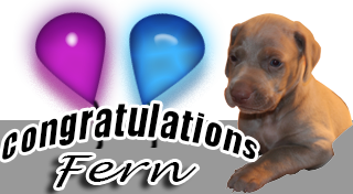 Congratulations Fern