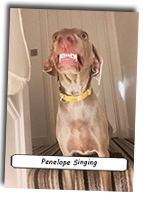 2020-43-Penelope-Singing