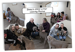 Emmys-2022-Litter-Leaving-Photos