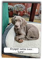 Enjager-Lakes-Lass-After-Leaving-The-Litter