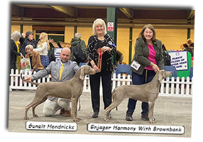 Enjager-Harmony-With-Brownbank-And-Gunalt-Hendicks