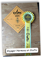 Enjager-Harmony-With-Brownbank-At-Crufts
